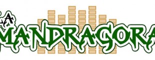 mandragora