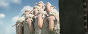 ohsheep
